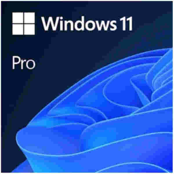 FPP Windows 11 Pro - 64bit SLO USB Microsoft