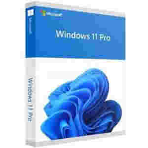 DSP Windows 11 Pro - 64bit HU/SLO/DE international  DVD Microsoft FQC-10537