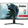 Monitor Iiyama 68