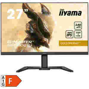 Monitor Iiyama 68