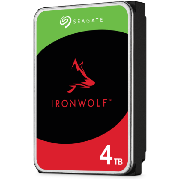 256MB IronWolf