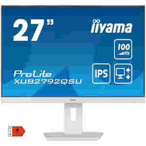 Monitor Iiyama 68