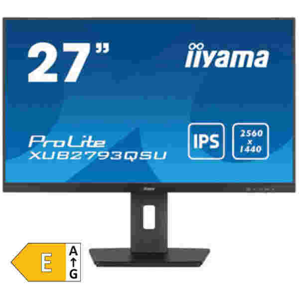 Monitor Iiyama 68