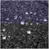 Torba za notesnik 39,6 cm (15,6″) RivaCase črna (7931 BLACK) - Image 2
