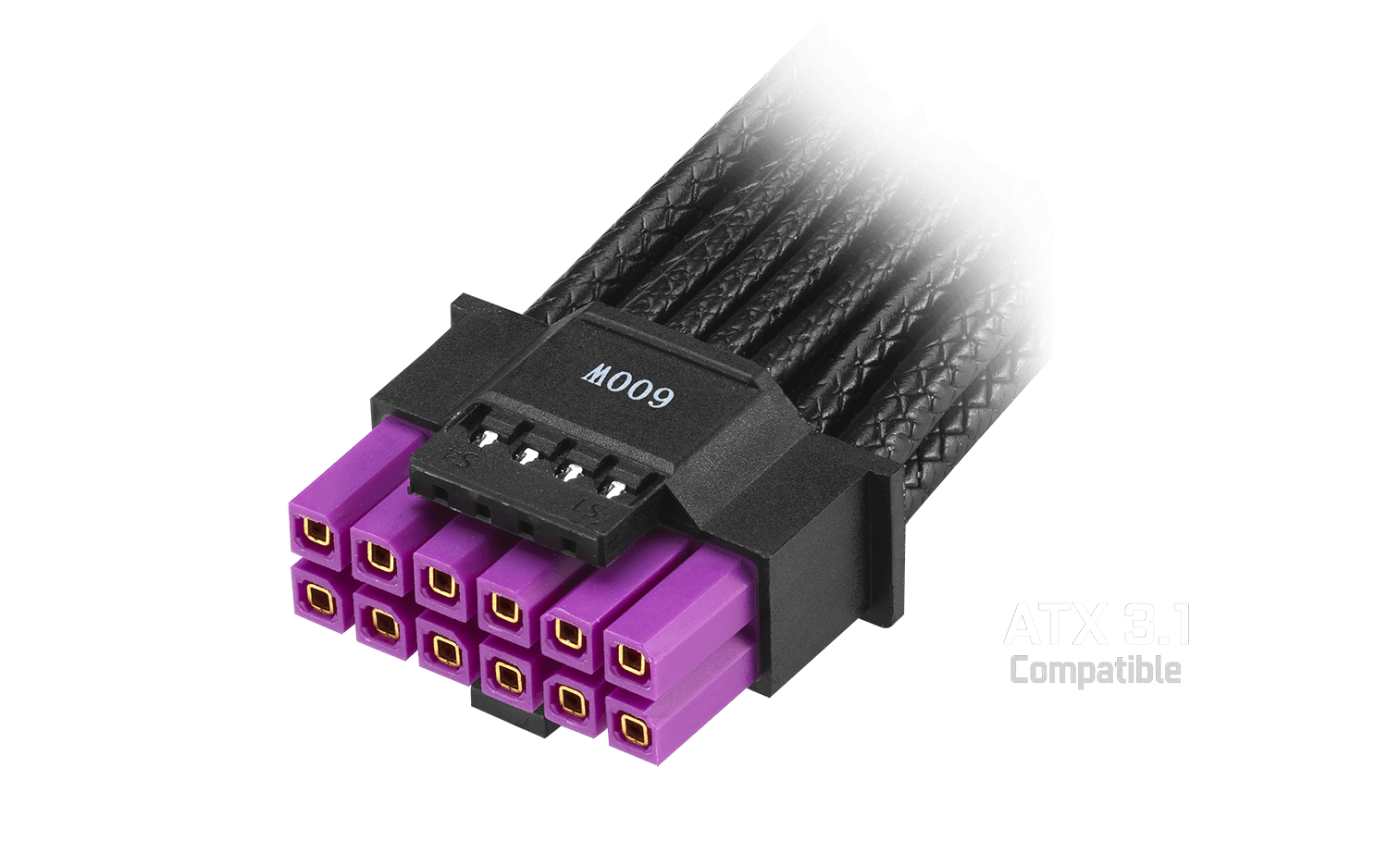 Združljivost s standardom ATX 3.1 za najnovejšo strojno opremo