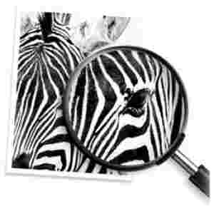 HP 21 original ink cartridge black standard capacity 5ml 190 pages 1-pack