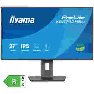 Monitor Iiyama 68